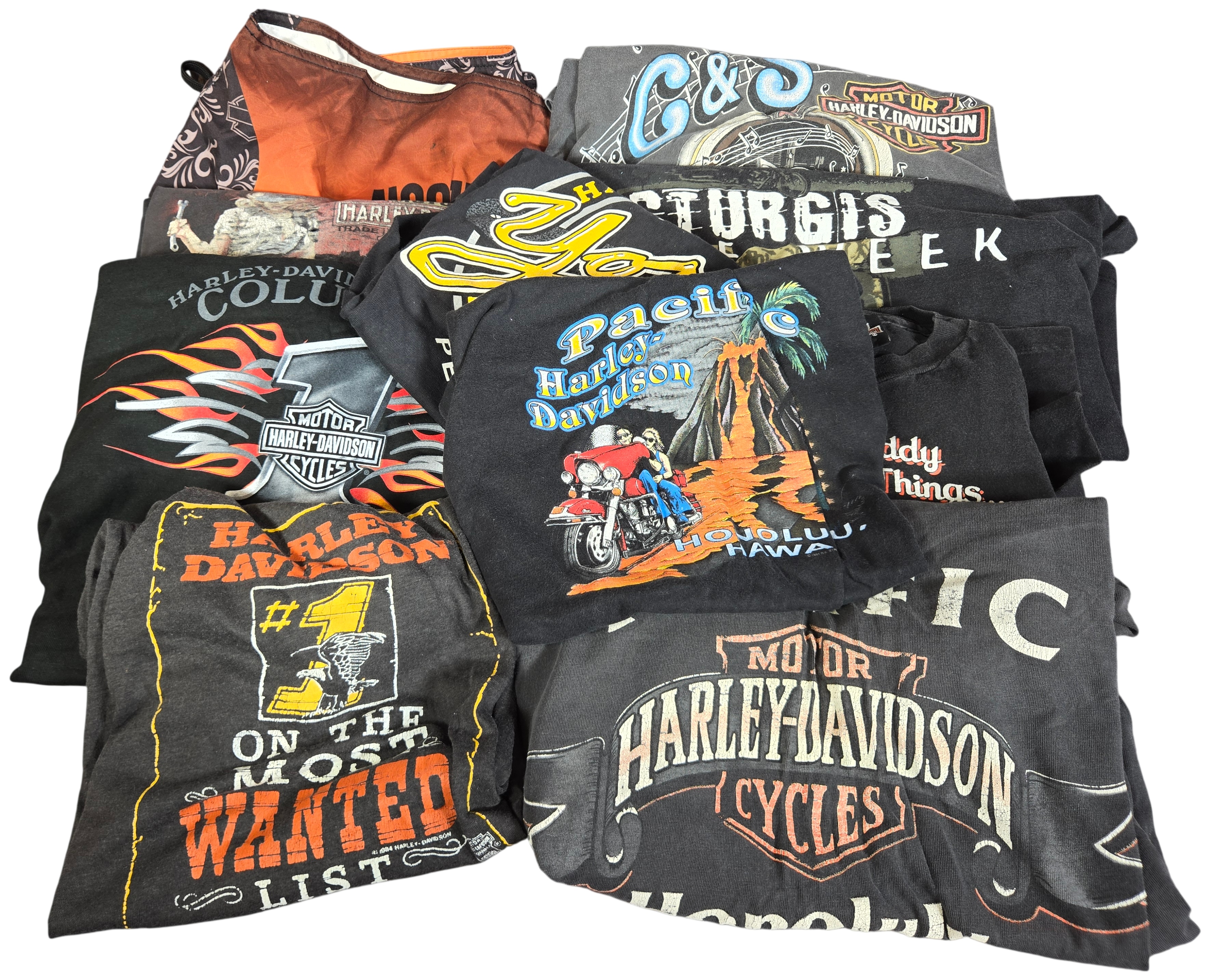 Ten Assorted Harley-Davidson Vintage T-Shirts and Board Shorts