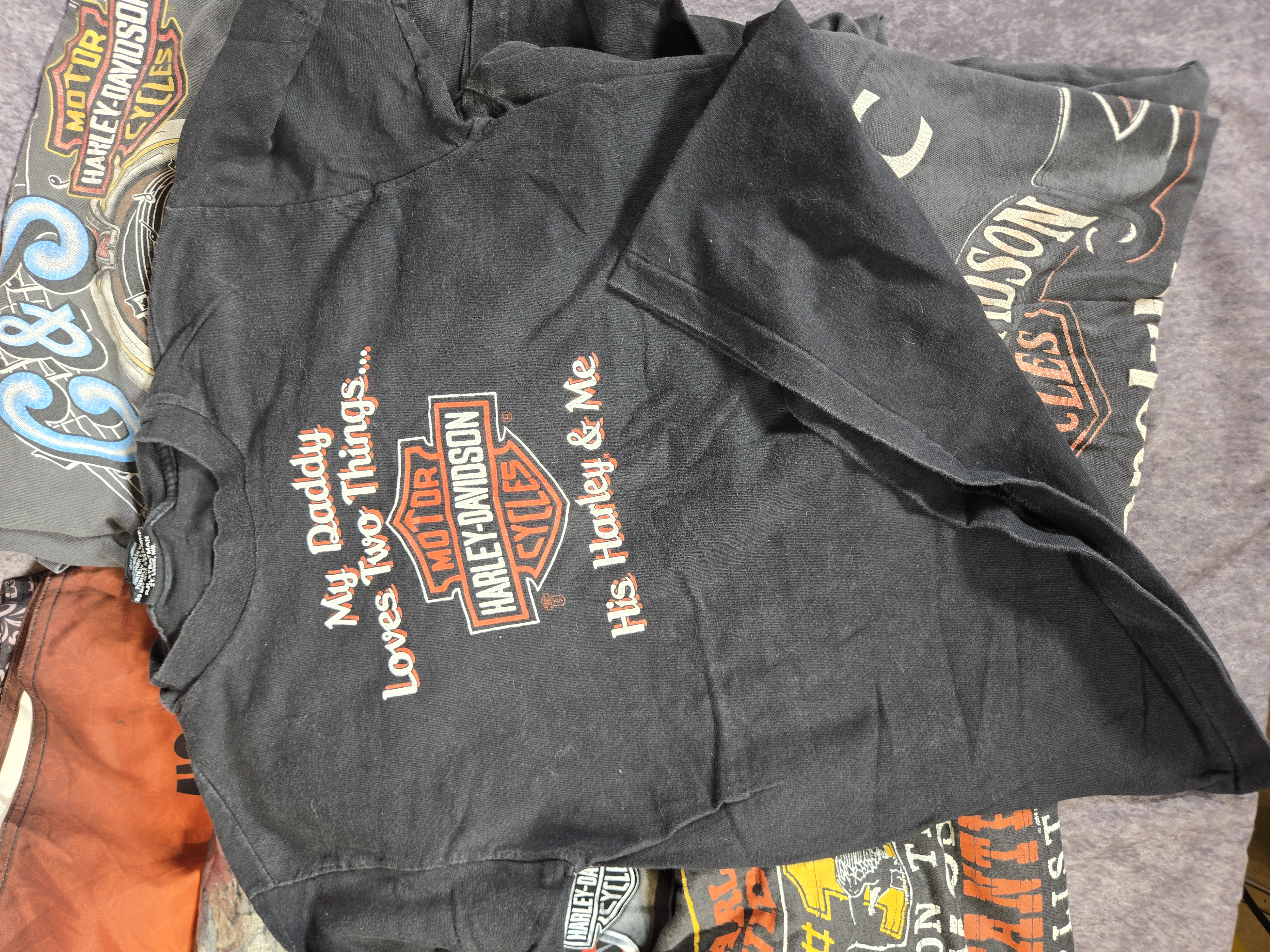 Ten Assorted Harley-Davidson Vintage T-Shirts and Board Shorts