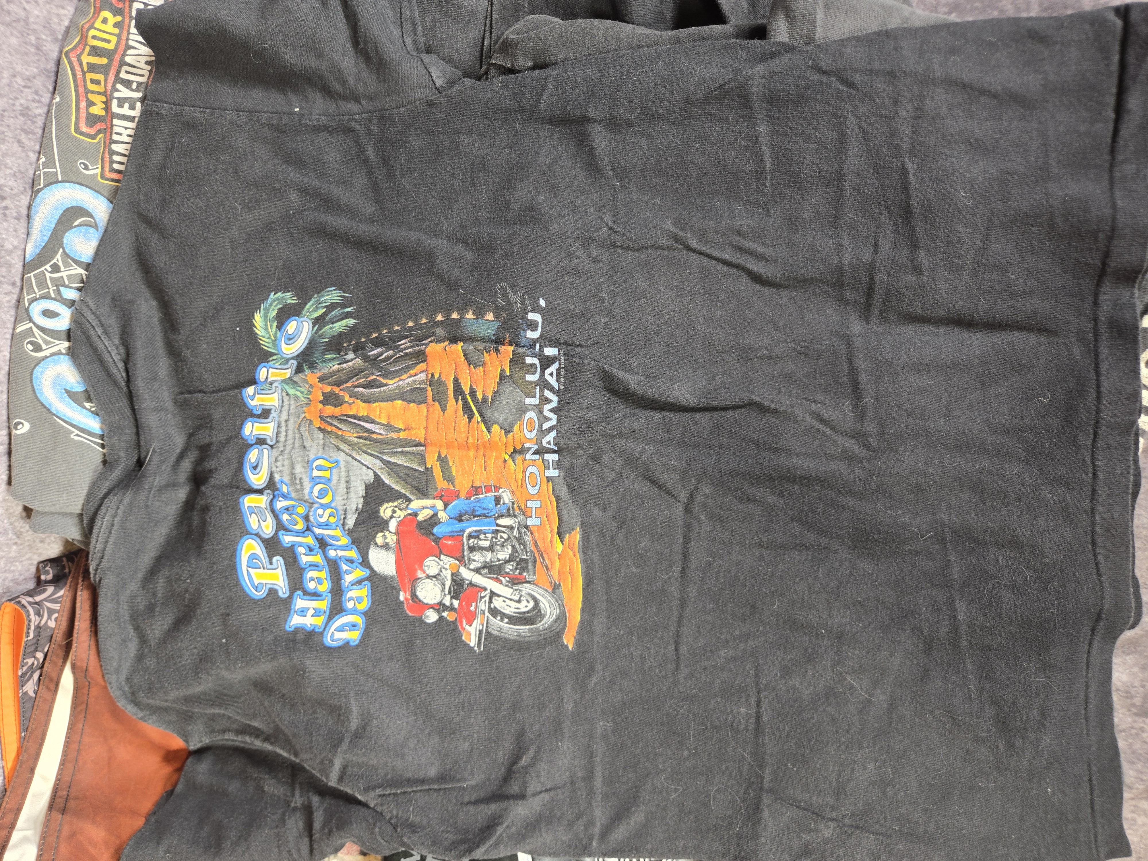 Ten Assorted Harley-Davidson Vintage T-Shirts and Board Shorts