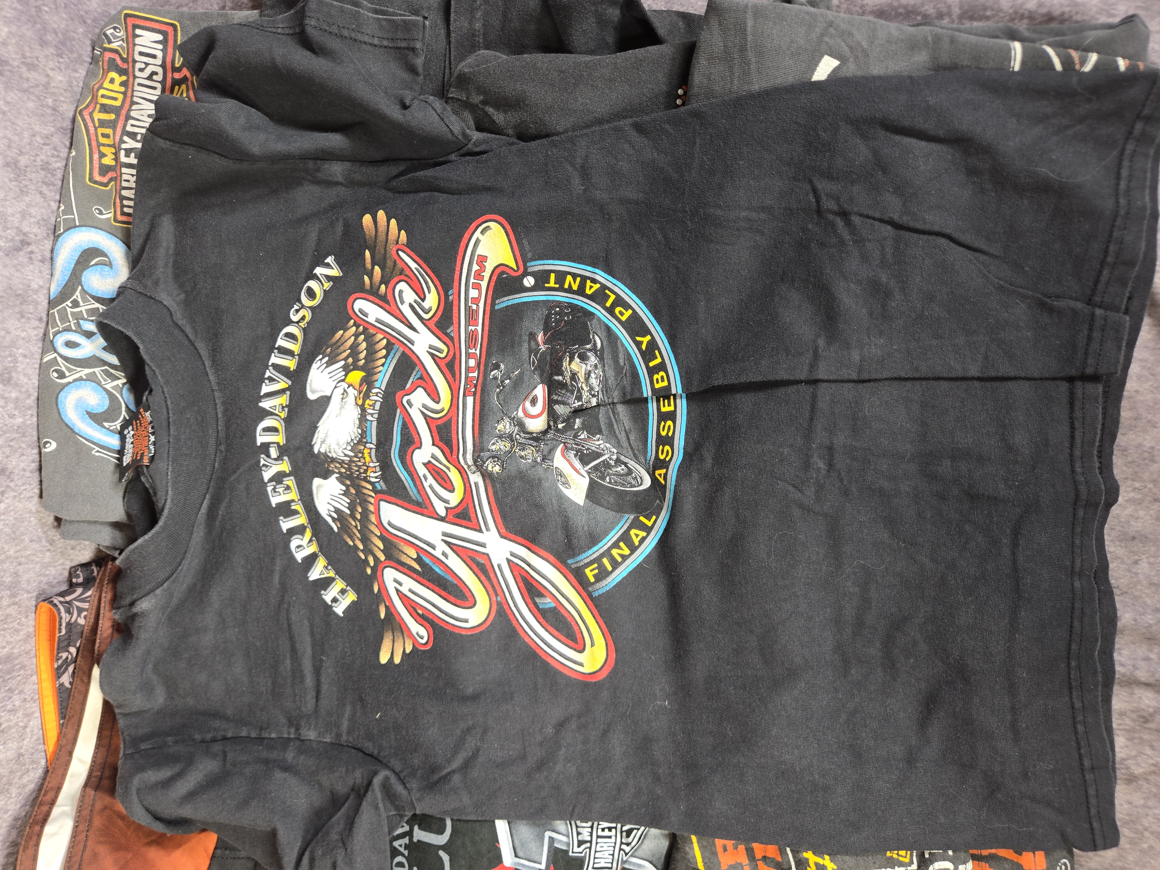 Ten Assorted Harley-Davidson Vintage T-Shirts and Board Shorts
