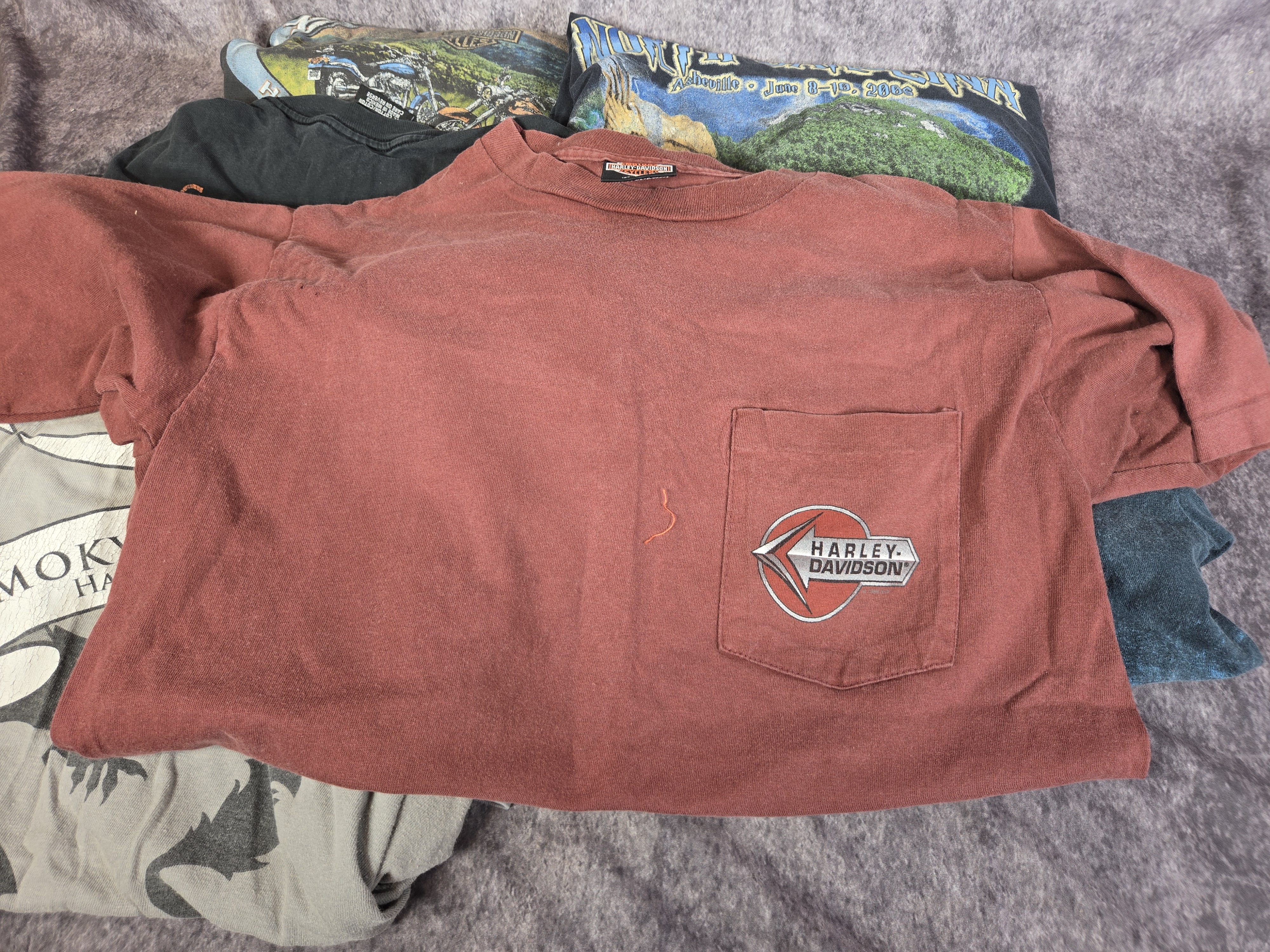 Nine Late 20th and Early 21st Century Harley-Davidson Graphic T-Shirts