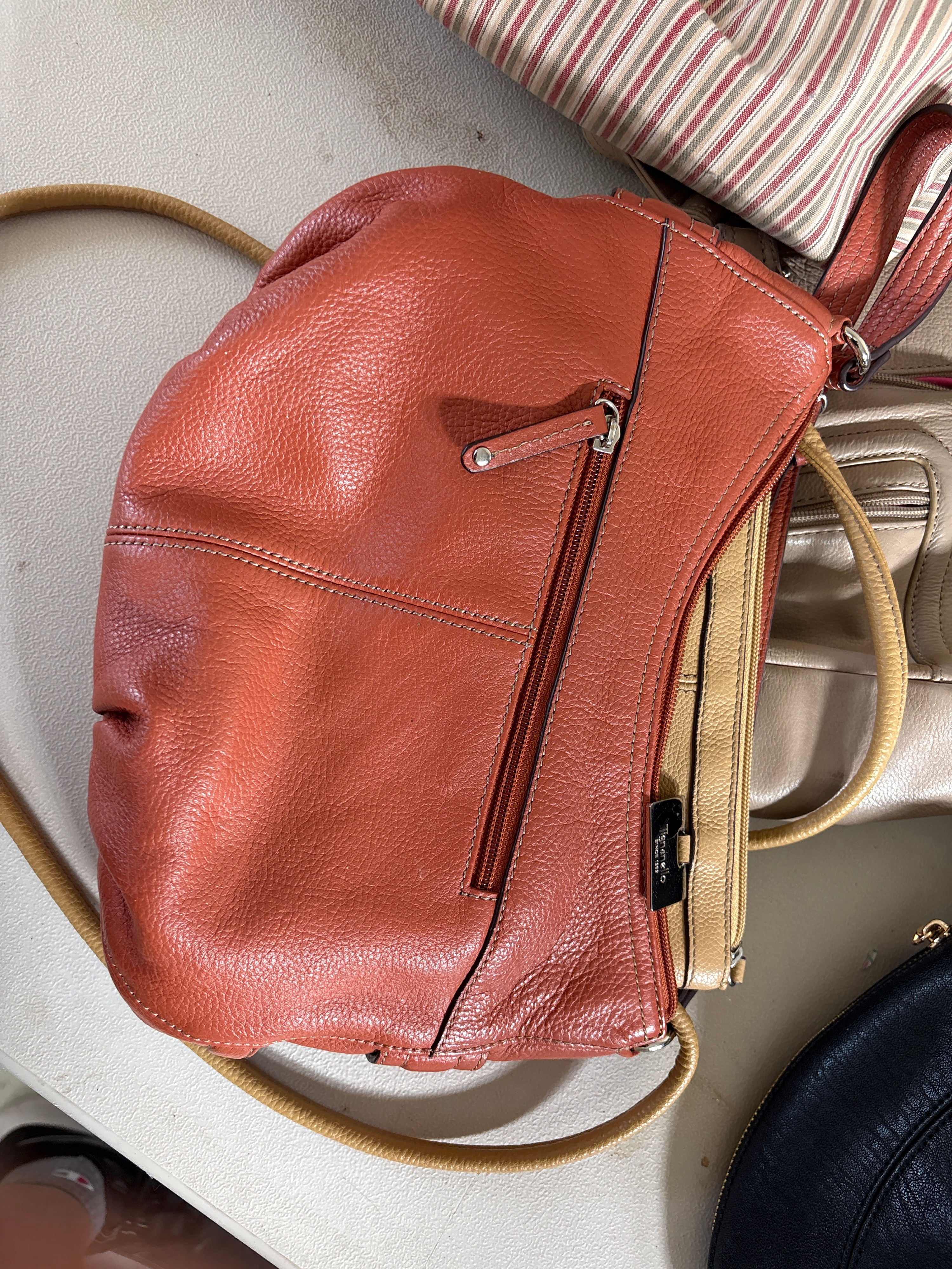 An Assortment of Designer and Contemporary Leather and Fabric Handbags