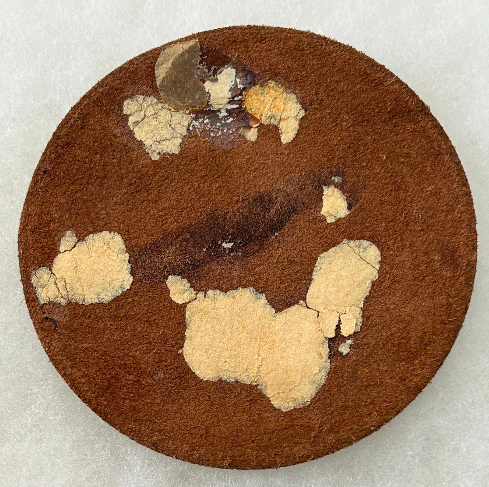 WWII U.S. Navy VC-4 Composite Squadron Patch