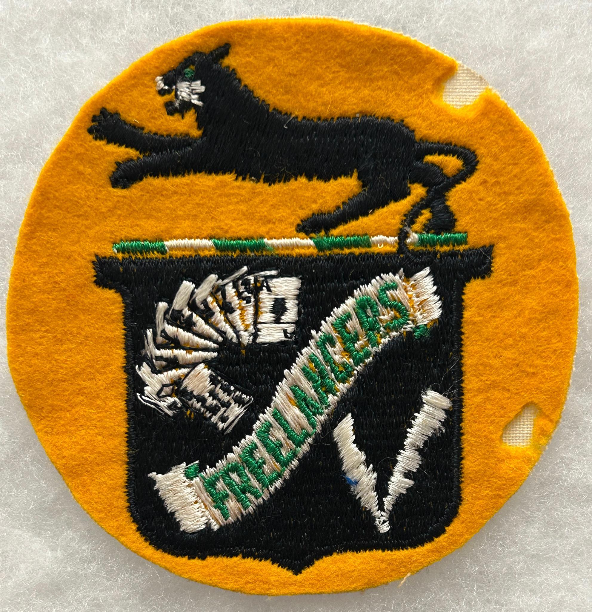 WWII U.S. Navy VF-81 Fighter Squadron Patch