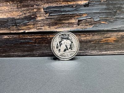 אונקיית כסף 999 נדירה
פנדה 2026