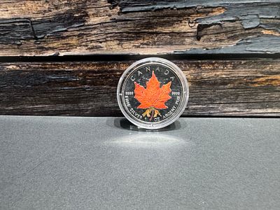 אונקיית כסף 999 נדירה
מסדרת 4 העונות