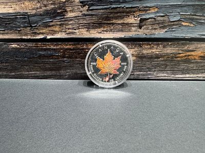 אונקיית כסף 999 נדירה
מסדרת 4 העונות