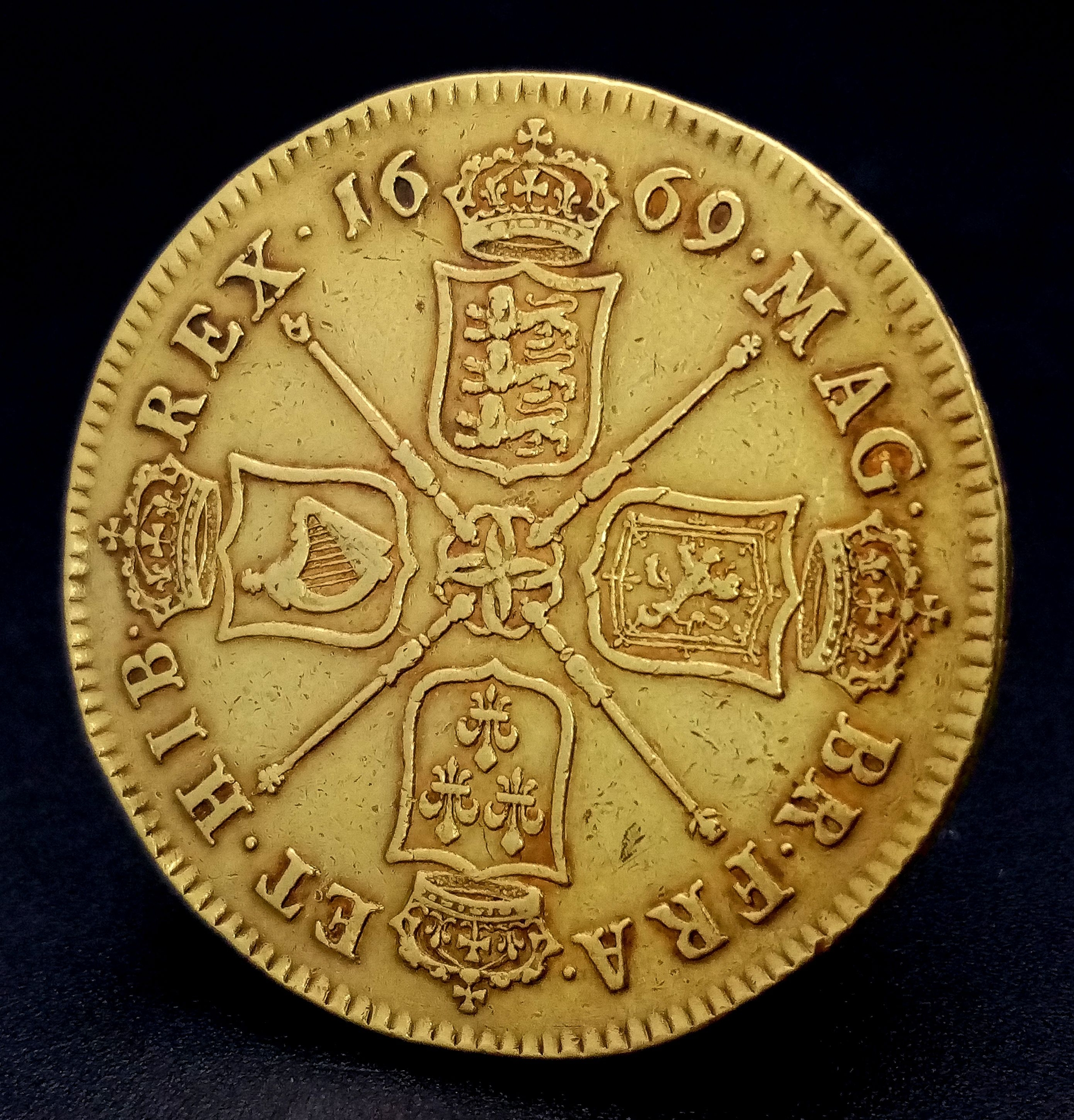 Lot 101