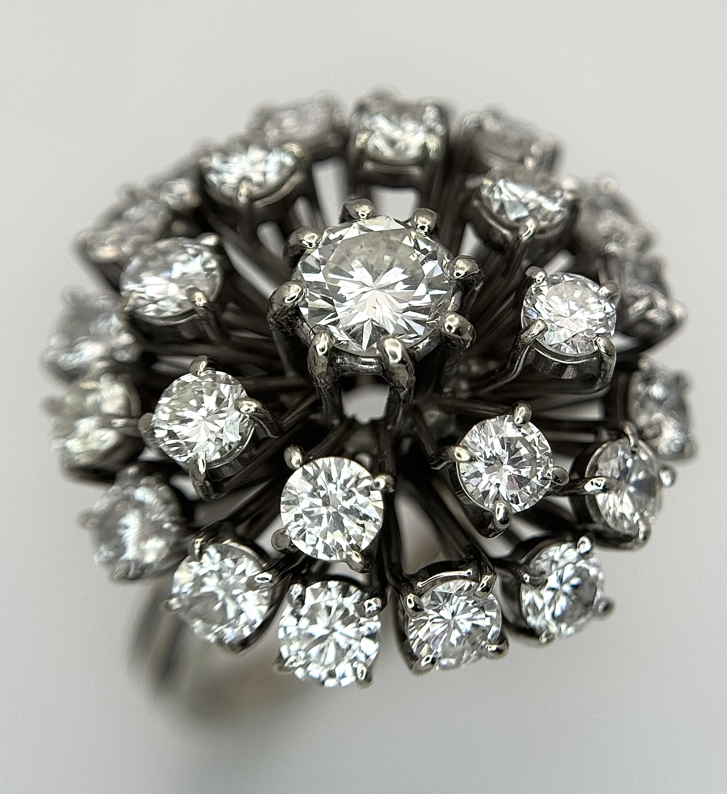 Lot 573