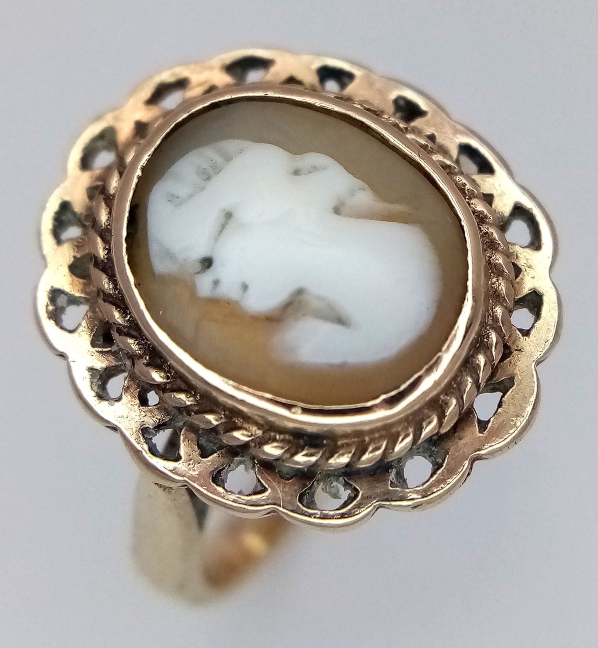 Lot 295