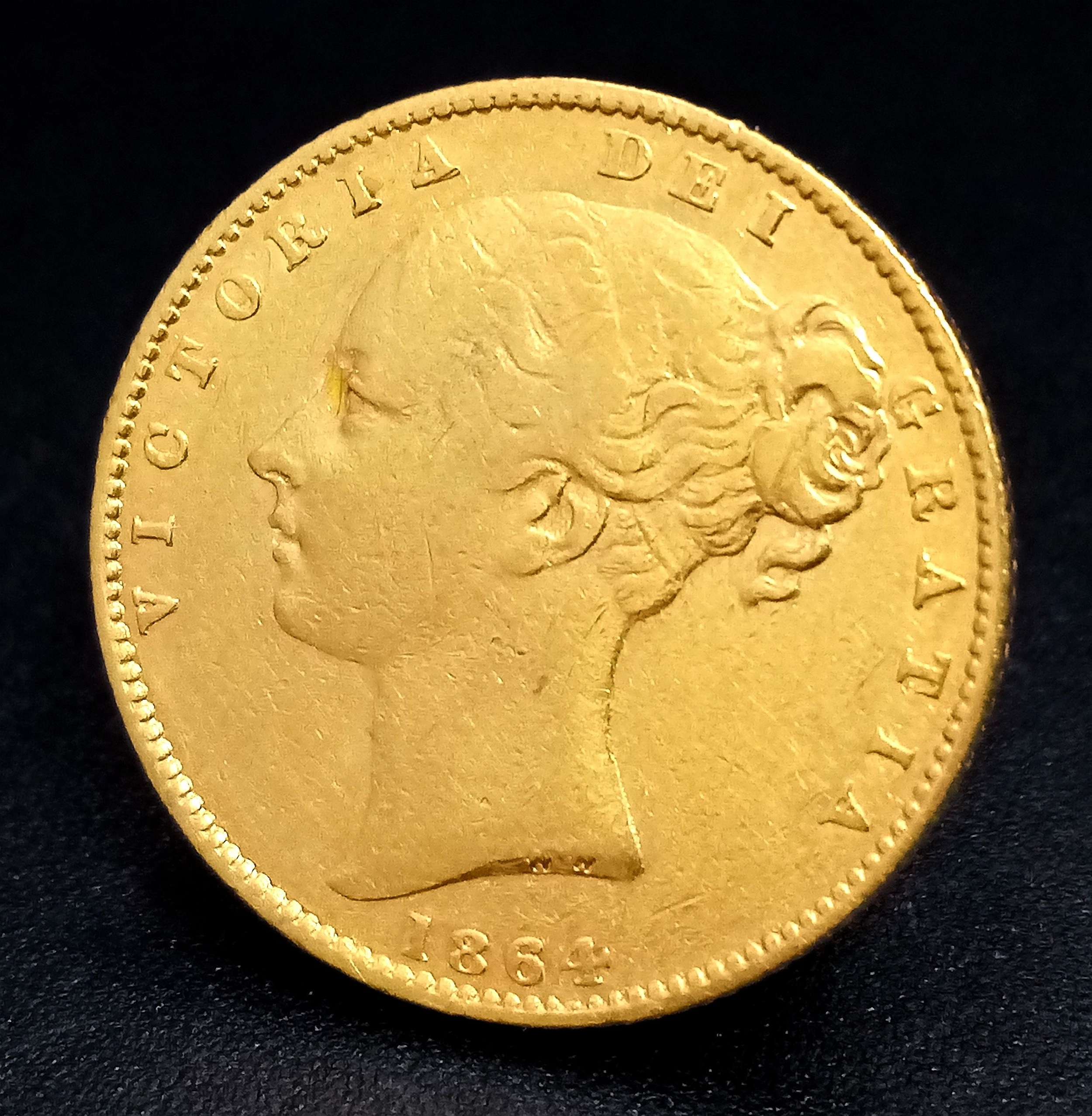 Lot 513