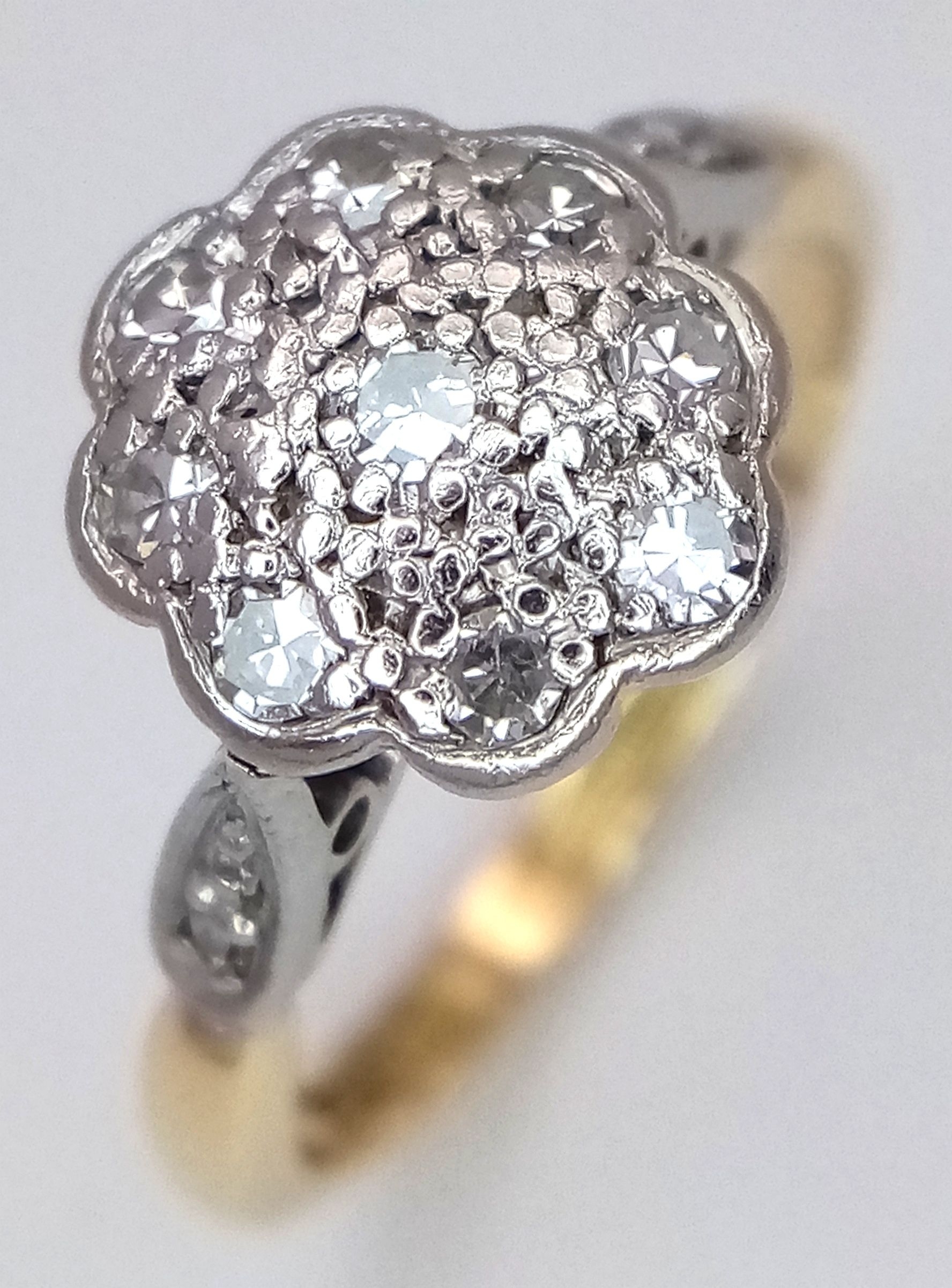Lot 230