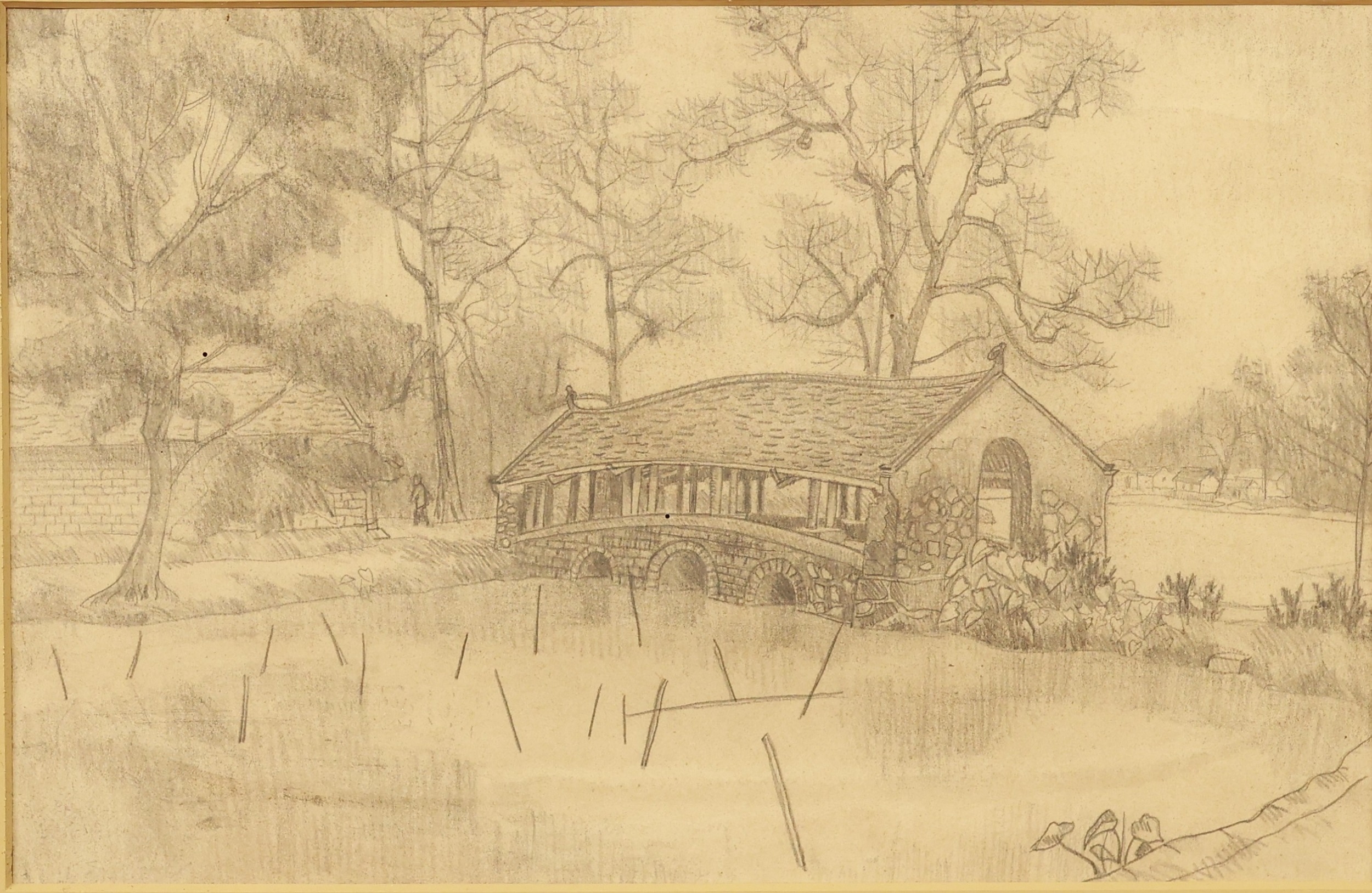 Lot 582