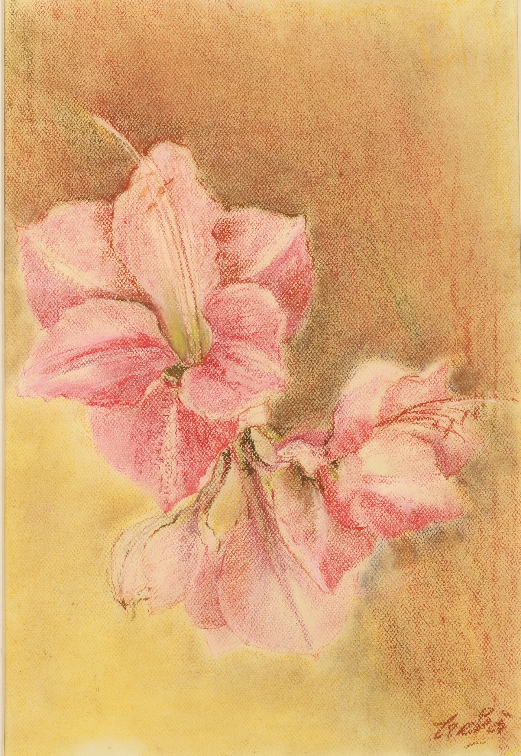 Lot 702