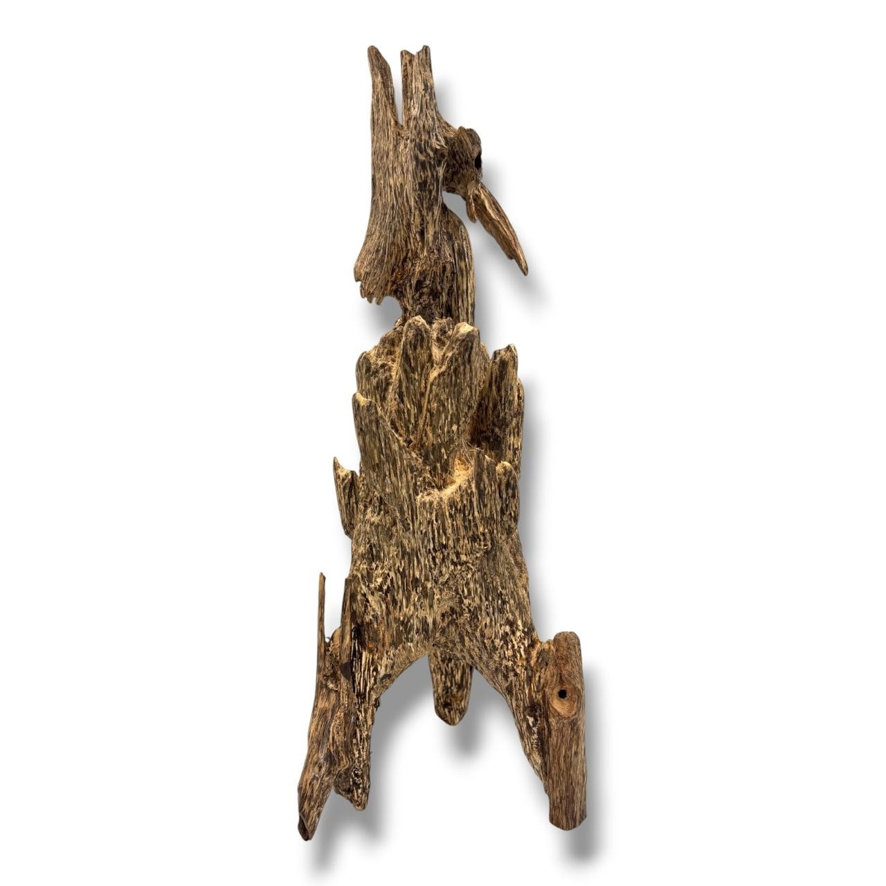 Lot 1465