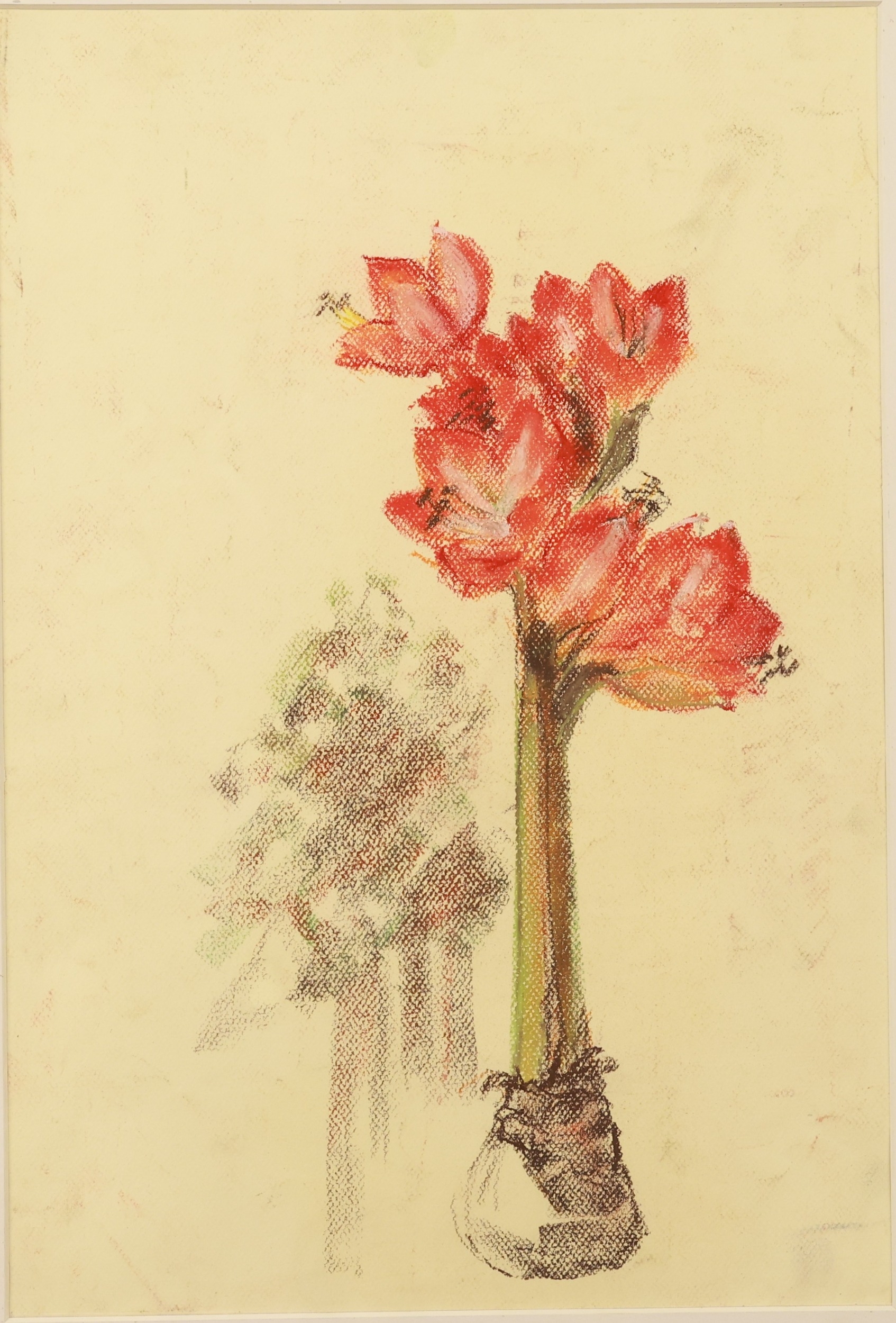 Lot 256