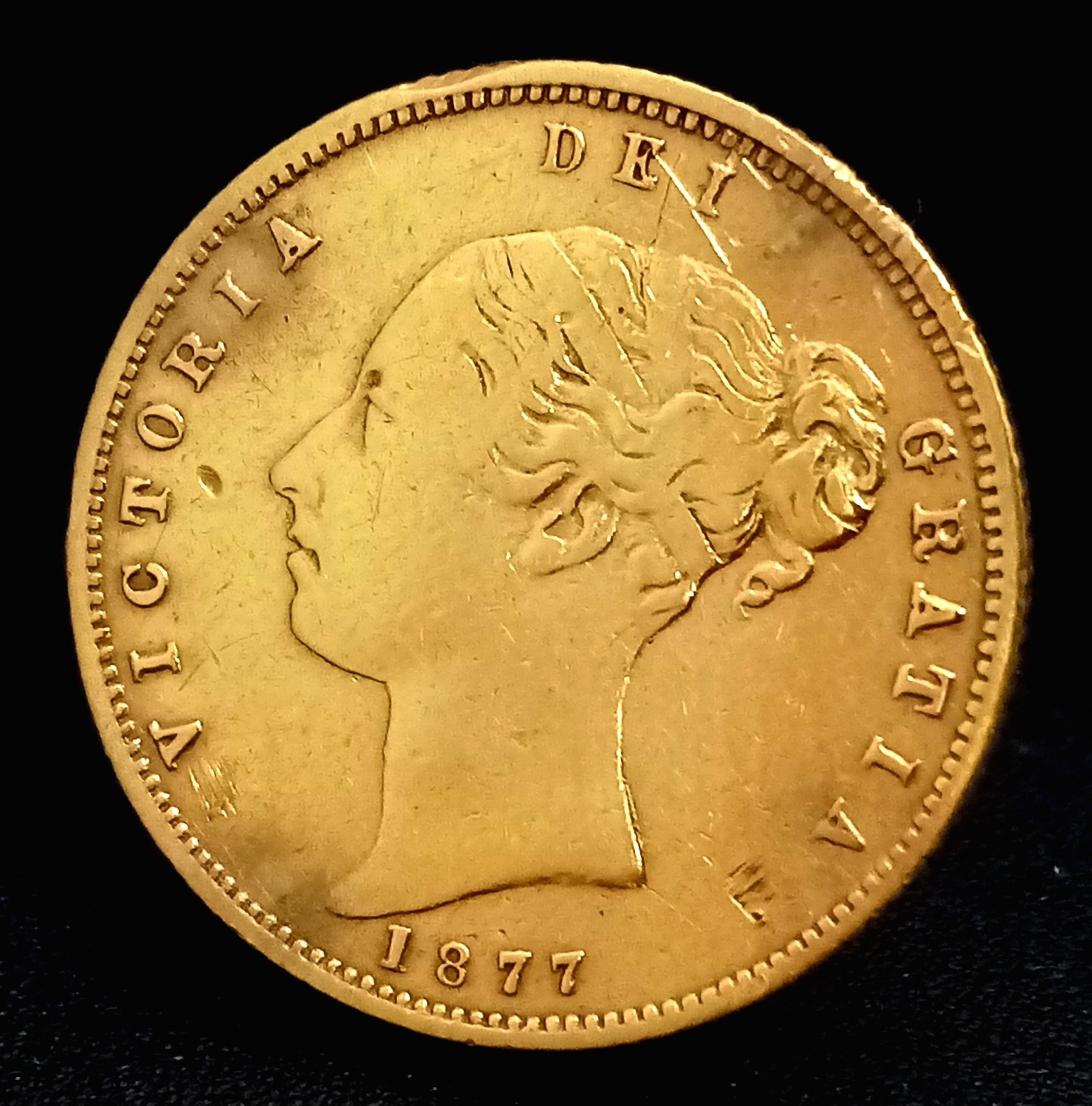 Lot 555