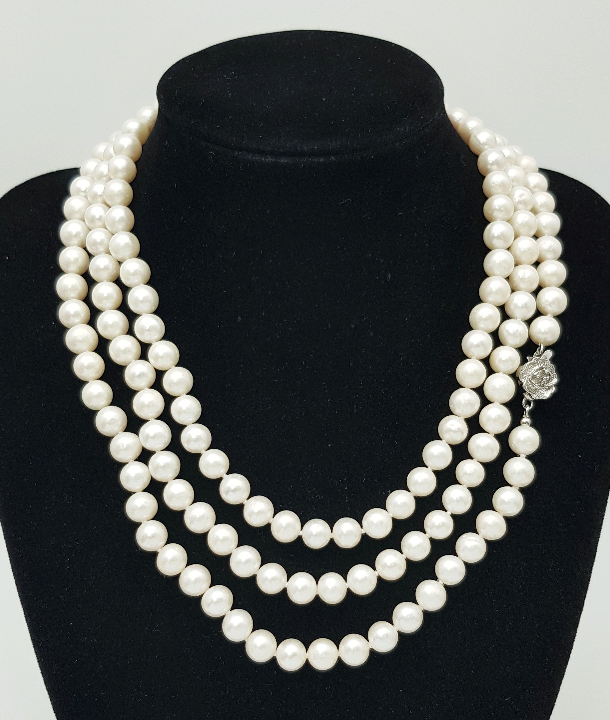 Lot 295