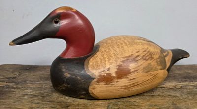 Signed N.J. Schulte 1981 Canvasback Drake Decoy in VG condition, life size.