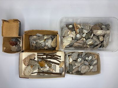 Authentic Finder's Collection of Artifacts. Assortment of labeled chert flakes, bifacially 