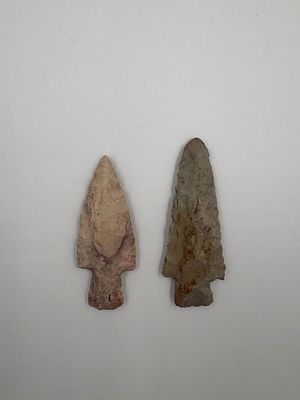 Two Fine Stemmed Points. Two stemmed stone projectile points with evident flake scars and 
