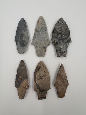 6 Exotic Adena Points. Six stemmed Adena-style projectile points made from Boone chert display a 