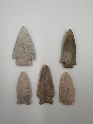5 Quality Notched Points. Five notched stone points in varying shades of beige, tan and gray 
