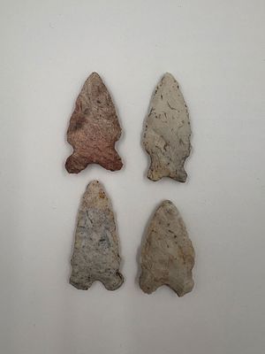 4 Kirk Points. Four Kirk-style stone projectile points with bifacial flaking and pronounced 