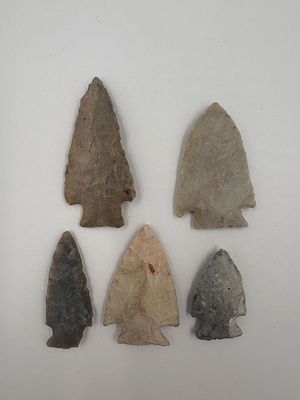 5 Quality Corner-Notched Points. Five corner-notched projectile points fashioned from chert and 
