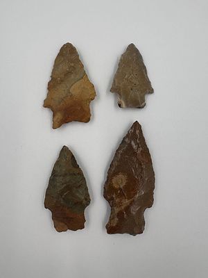 4 River-tumbled Arrowheads. Four river-tumbled stone projectile points with bifacial flaking and 