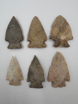 6 Colorful Notched Arrowheads. Six notched stone arrowheads in varied gray, tan, cream and rust 