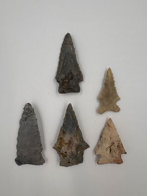 5 Heavily-beveled Rice Points. Five heavily beveled Rice-style projectile points crafted from 