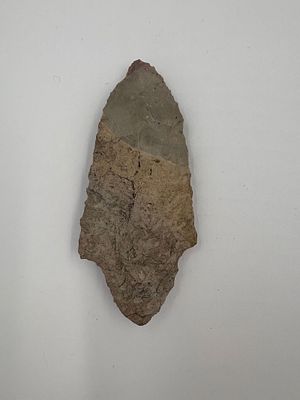 Adena - 3 1/4in. Adena-style bifacial stone point measuring 3 1/4 inches long crafted from 