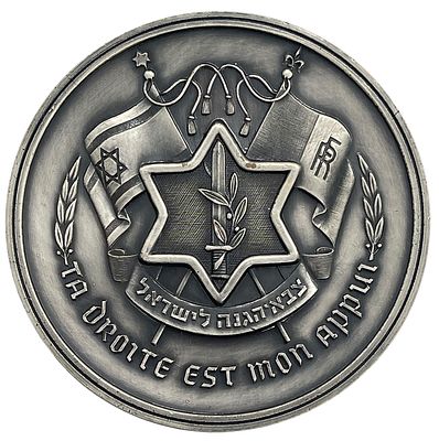נדיר! מדלית מבצע סיני - מדליה שהוענקה על ידי ראש הממשלה דאז דוד בן גוריון כאות הוקרה לטייסים