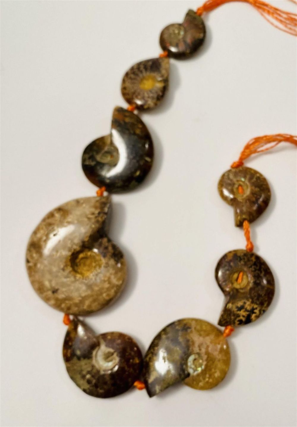 Lot 195: Ammonite fossil drilled beads