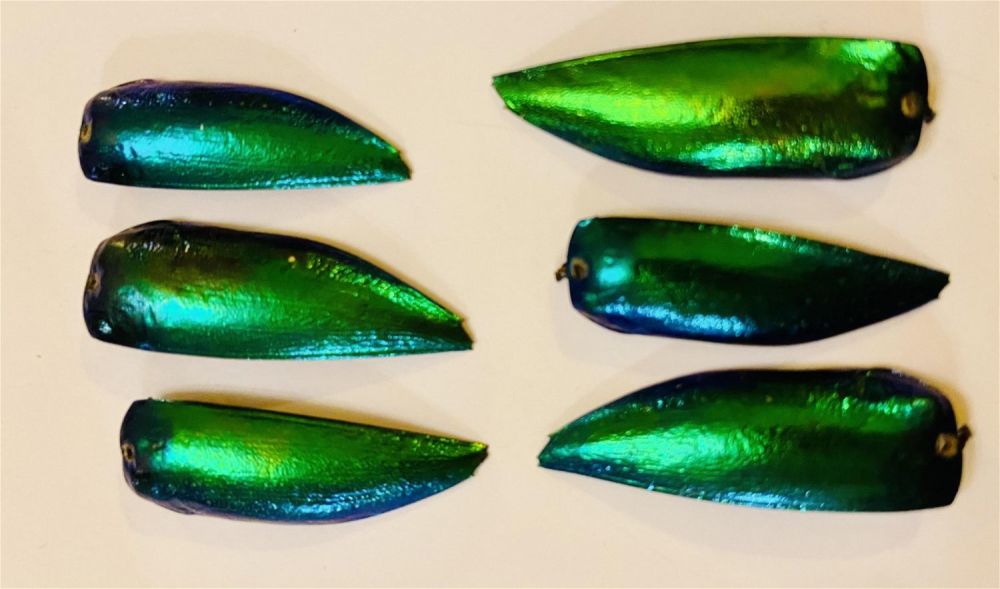 Lot 219: 6 fluorescent drilled beetle wings