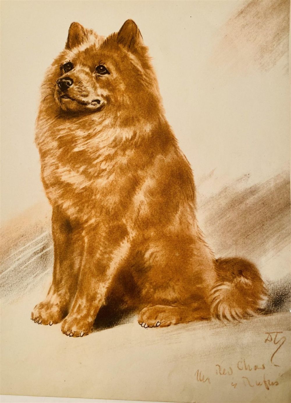 Lot 476: Watercolor of dog signed