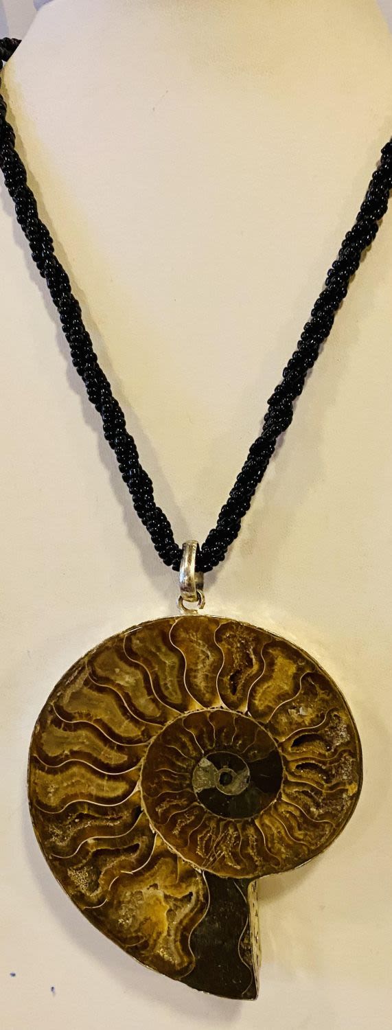 Lot 296: Fossil ammonite large specimen