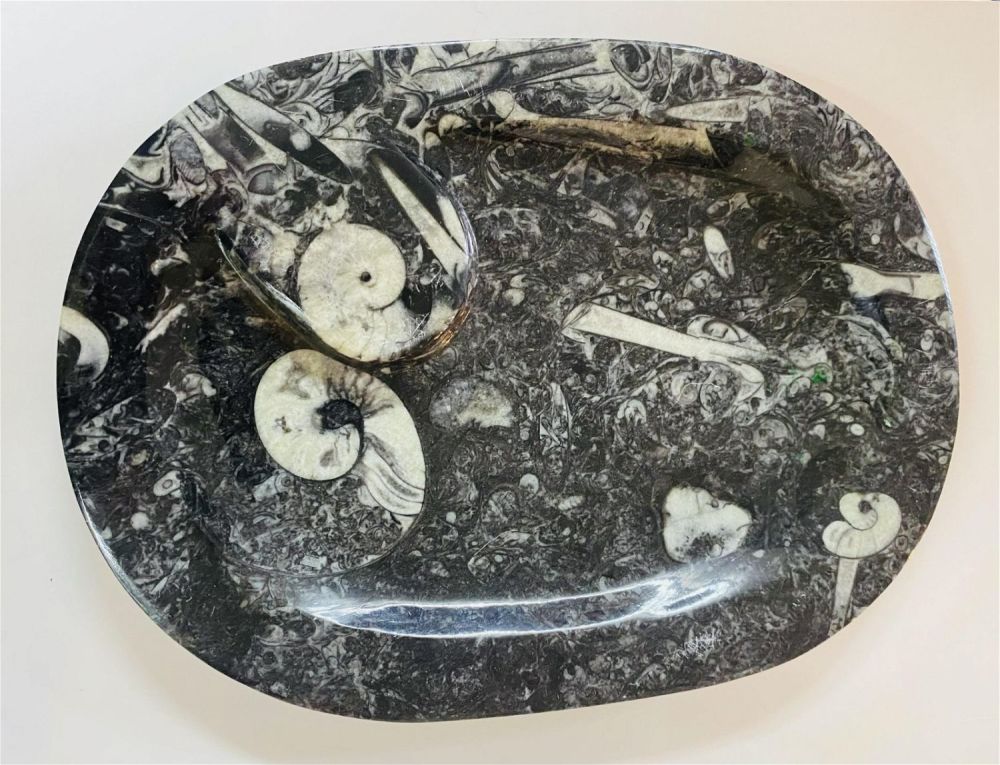 Lot 365: Ammonite fossil platter oval
