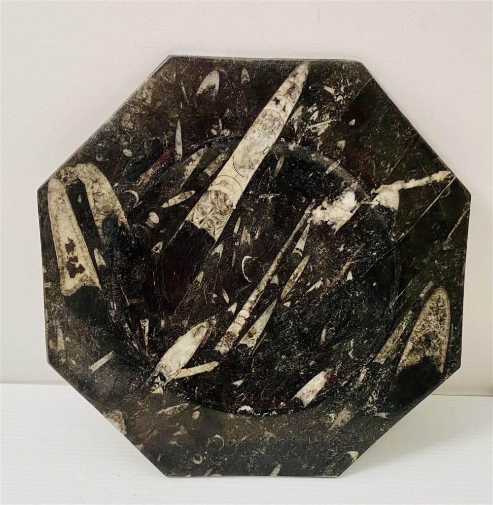 Lot 405: Orthoceras fossil plate black/white
