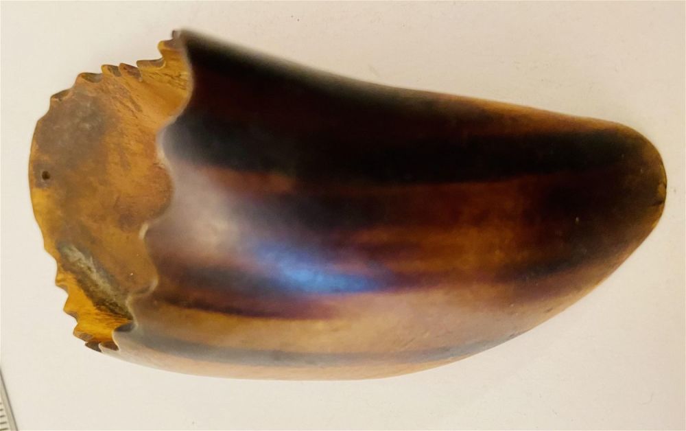 Lot 192: Horn matchsafe drilled Victorian