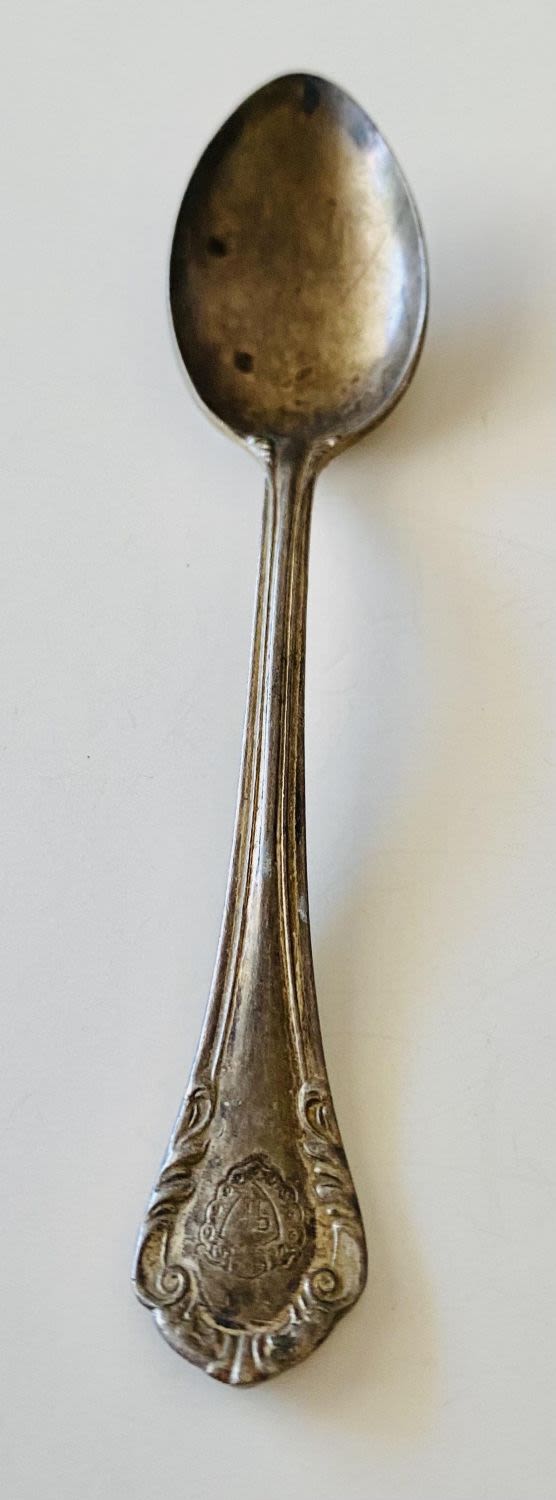 Lot 200: Collector spoon - The Plaza NY