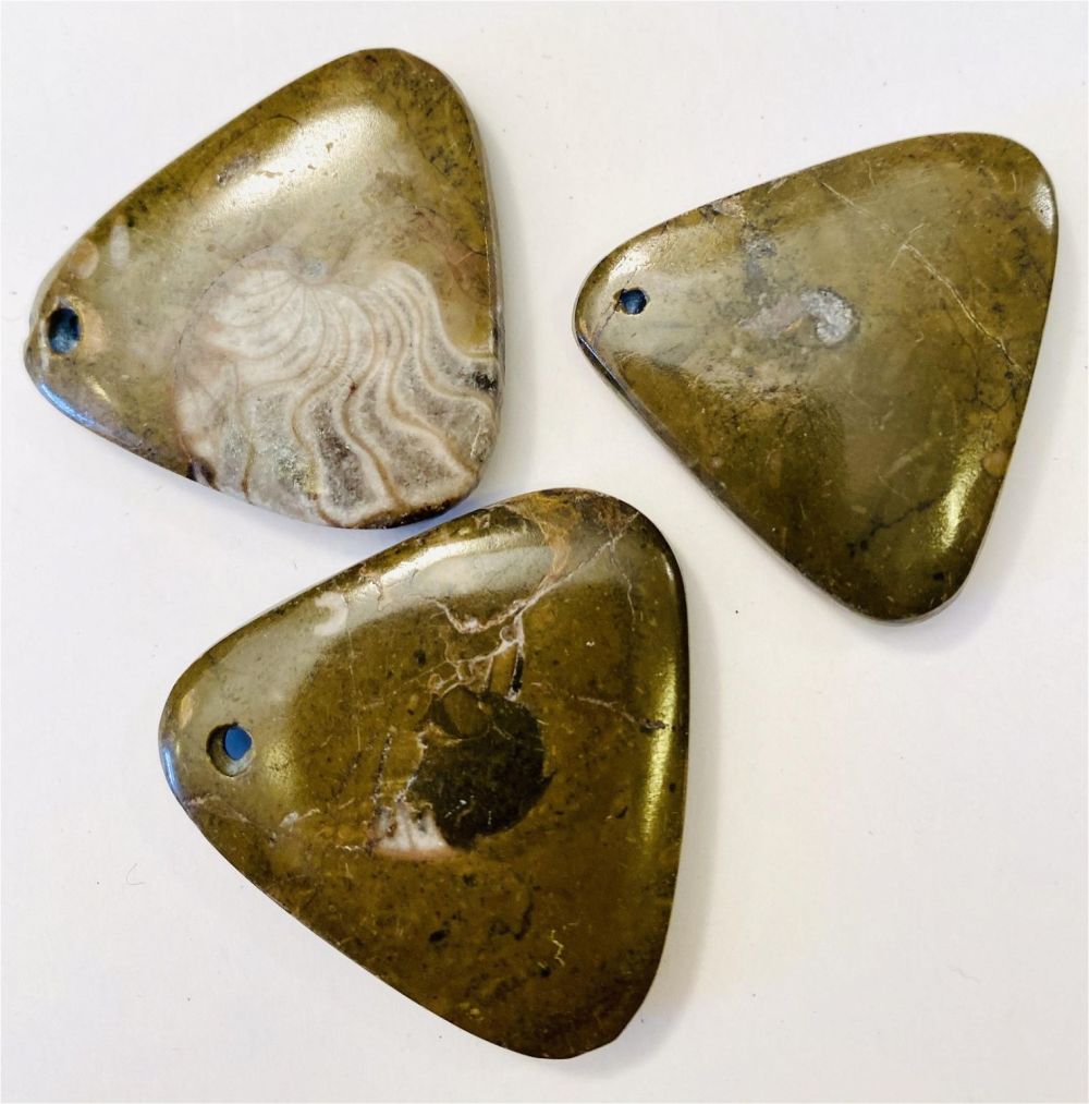 Lot 443: Ammonite fossil triangles drilled