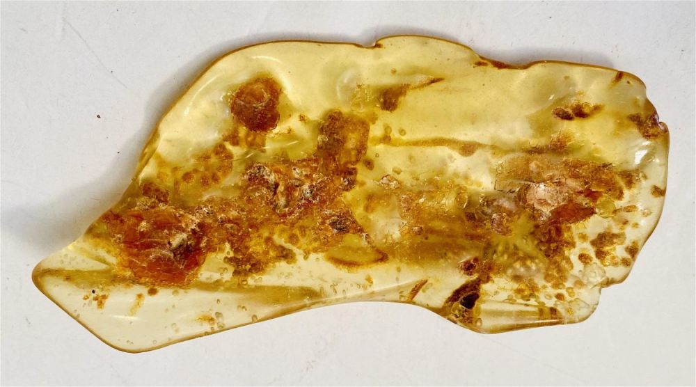 Lot 360: Amber copal specimen polished