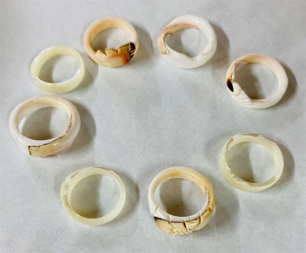 Lot 382: Seashell carved ring collection