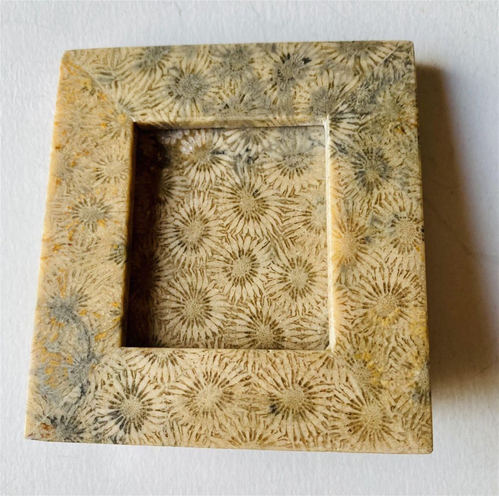 Lot 400: Fossil coral picture framed custom