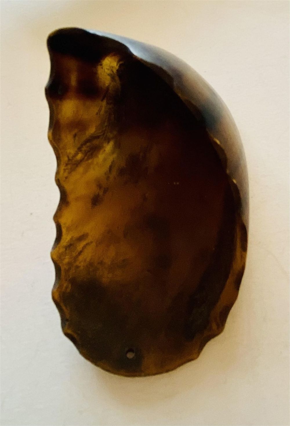 Lot 169: Horn hoof polished and drilled