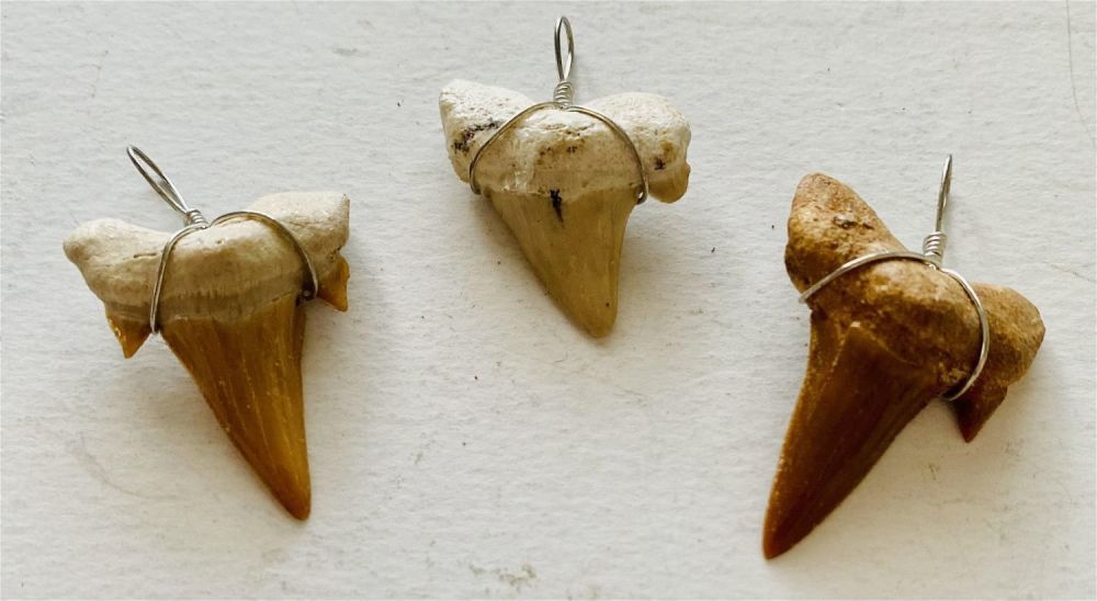 Lot 176: Sharks teeth pendants- 3