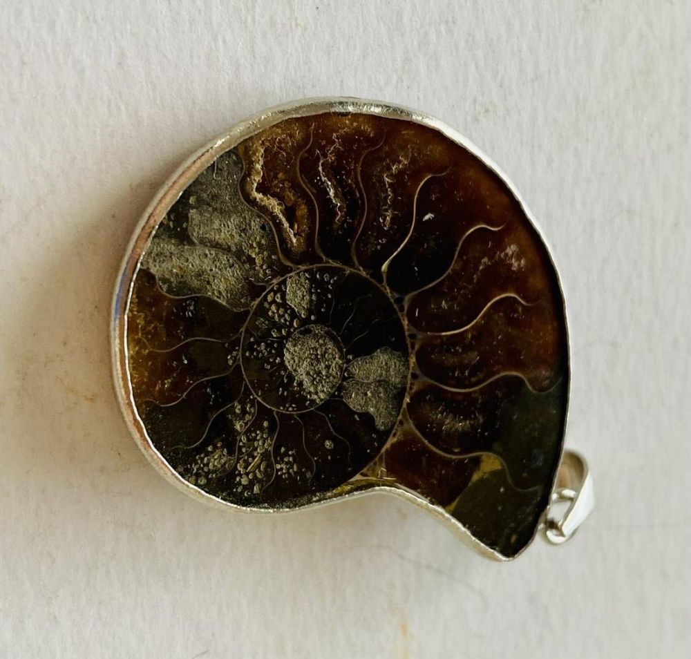 Lot 209: Ammonite pendant fossil specimen