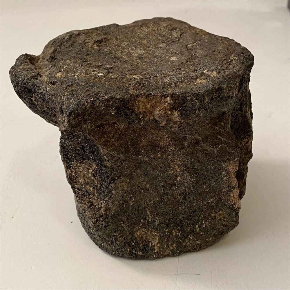 Lot 153: Fossil vertebrae mineralized /whale